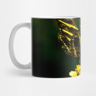 Flower with Butterfly Mug